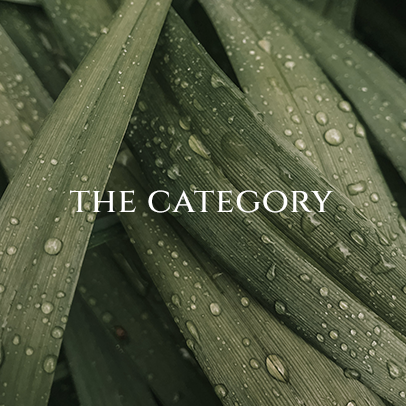 assets/images/image/home-grid-image-the-category.png