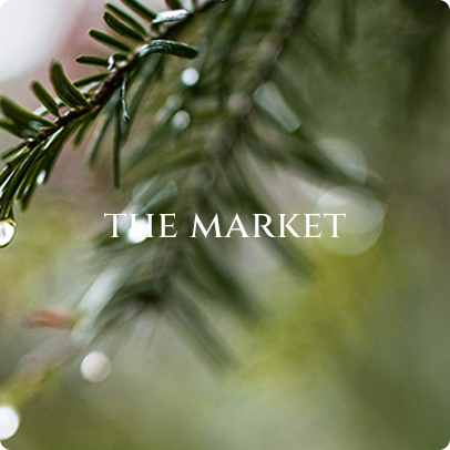 assets/images/image/home-grid-image-the-market.png