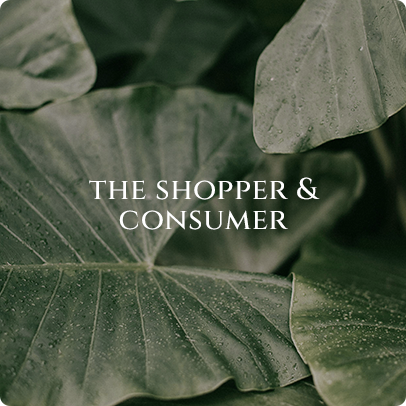 assets/images/image/home-grid-image-the-shopper-new.png